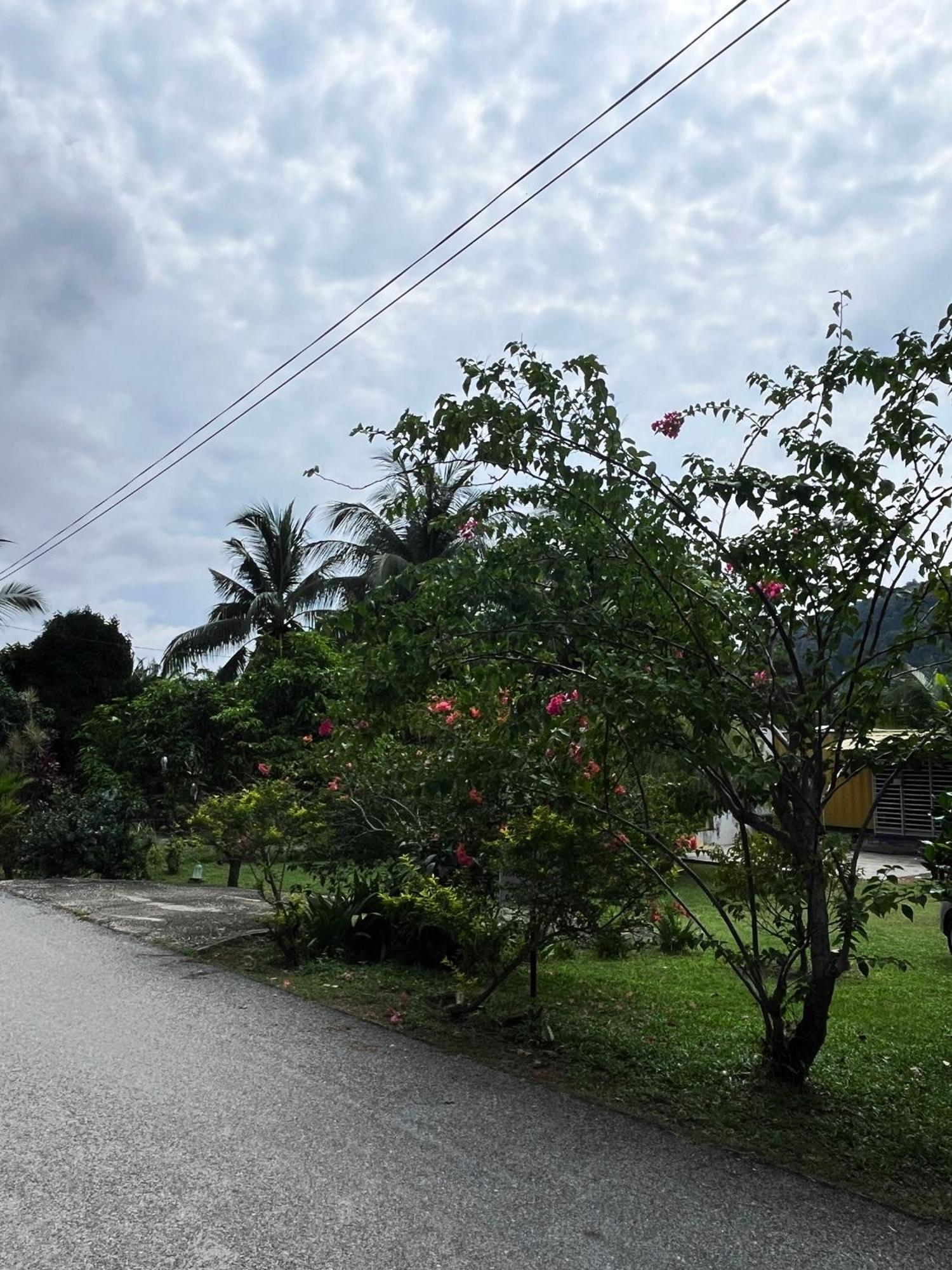 Purple Cube At Lumut Cube Homestay Kontena Екстериор снимка